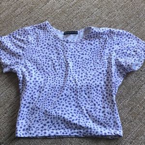 rare purple cheetah ashlyn!